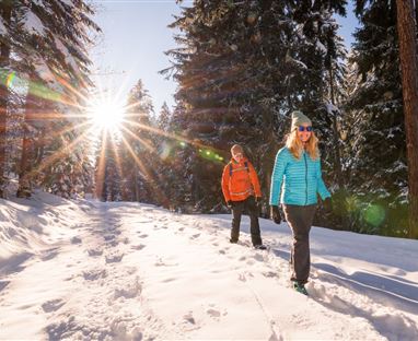 Winterwandern
