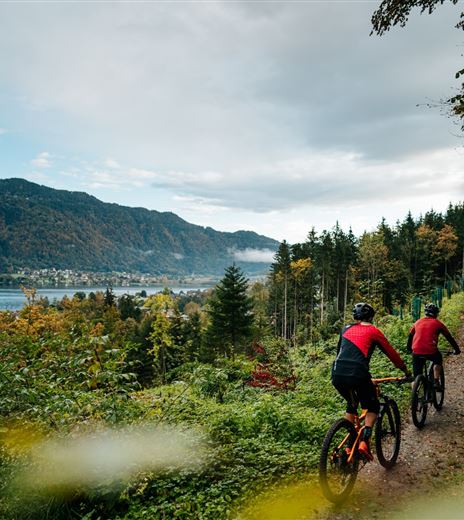 Toghy Trail T02 Ossiach
